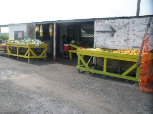 Roadside fruit stand